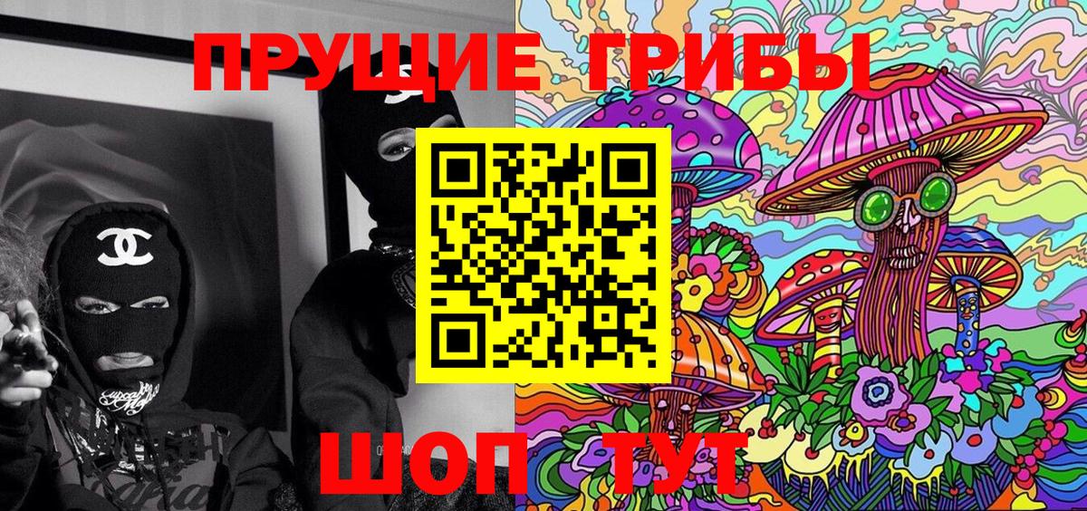 Старая Купавна  Псилоцибиновые грибы MAGIC MUSHROOMS  Вход с VPN  Псилоцибиновые грибы мухоморы 