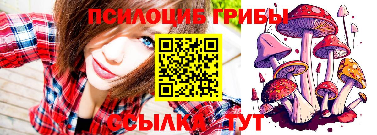 Псилоцибиновые грибы Magic Shrooms Старая Купавна